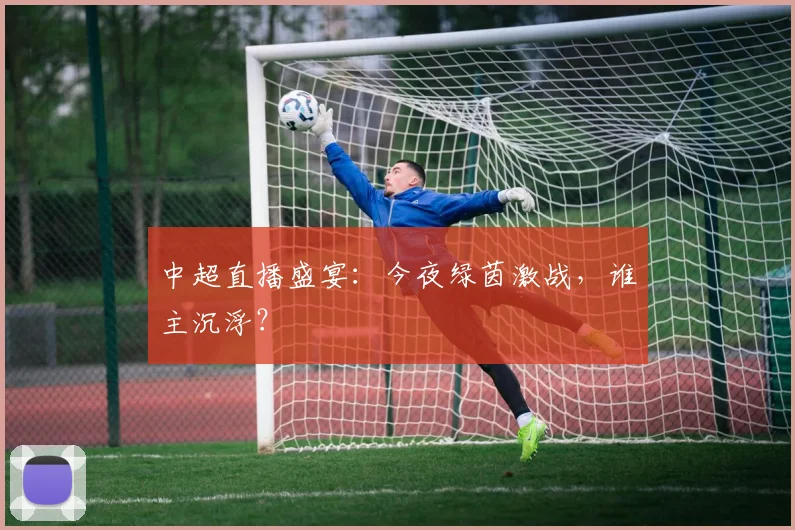 中超直播盛宴：今夜绿茵激战，谁主沉浮？
